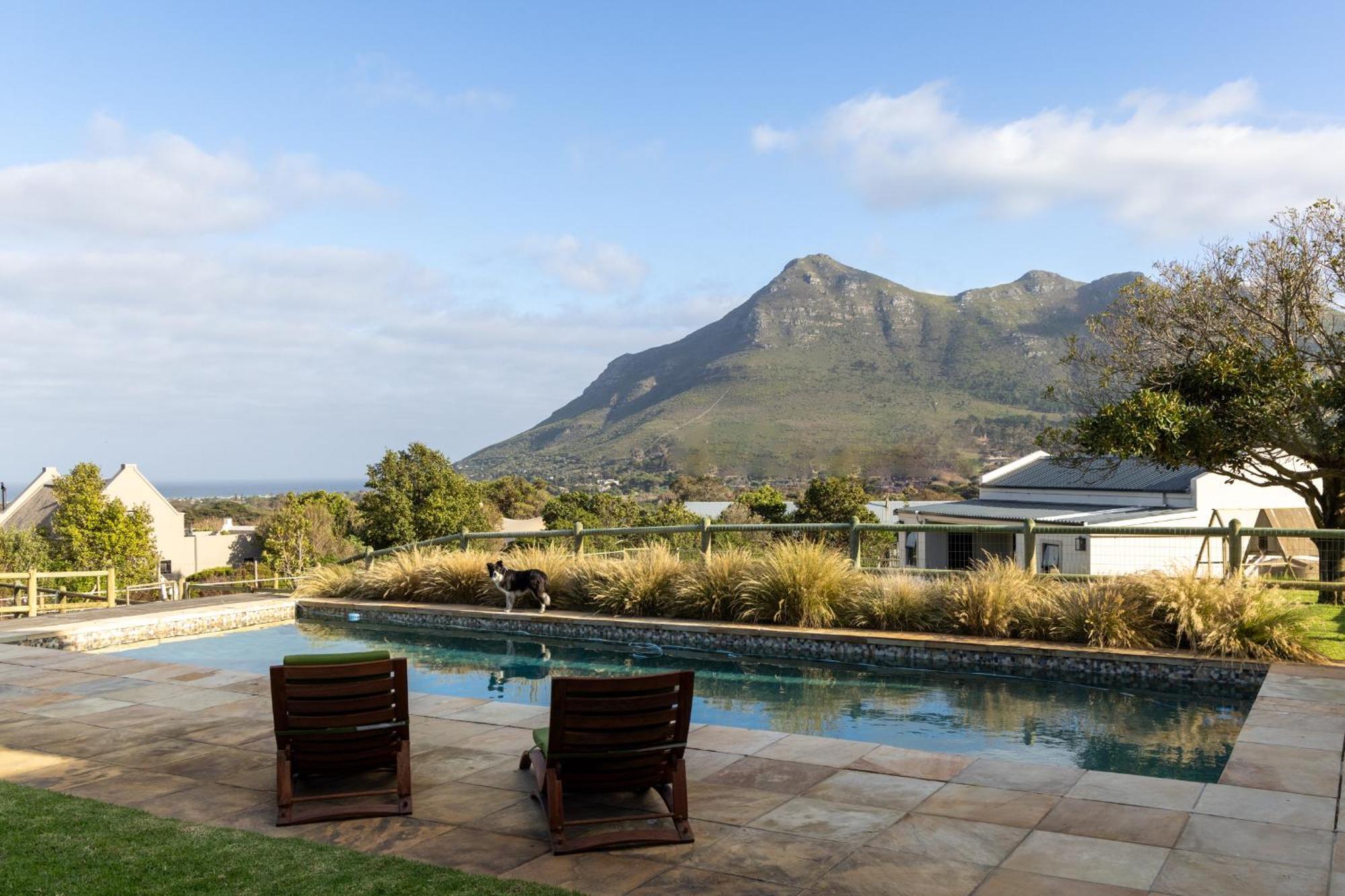 Serene, Thatched Apartment In Noordhoek, קייפטאון מראה חיצוני תמונה