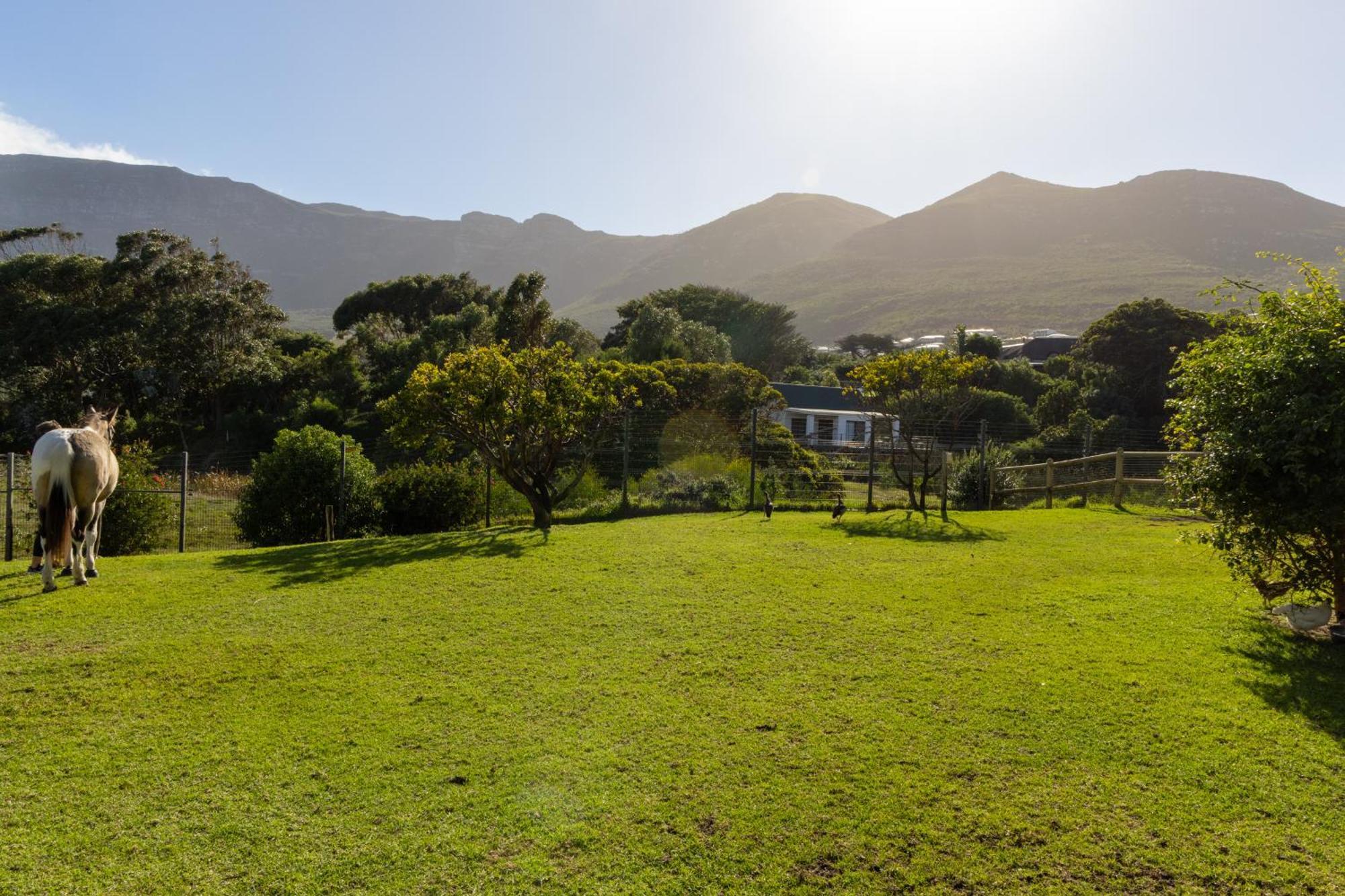 Serene, Thatched Apartment In Noordhoek, קייפטאון מראה חיצוני תמונה